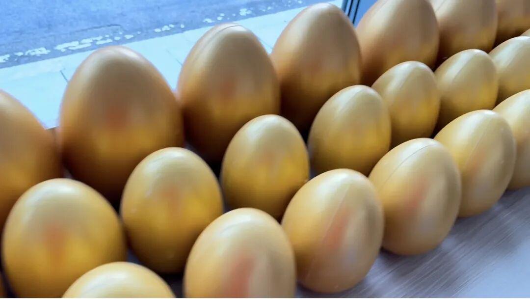 改造完毕，重新开业！1月17日 CBA篮球公园·国信馆多重好礼等你来！